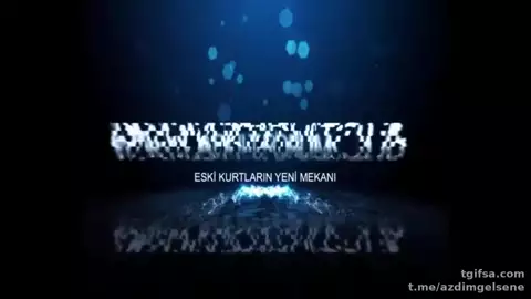 Türk İfşa #17006 – Telegram Arşivinden Full Kayıt