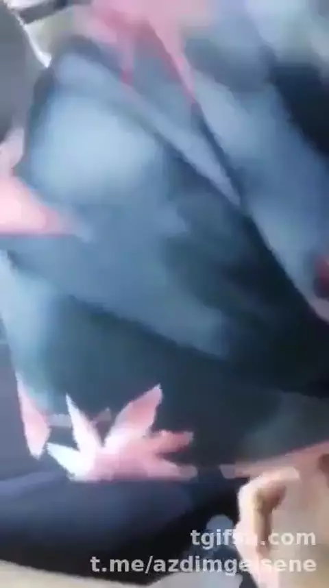 Sıcak Amatör İfşa Videosu #11122 – Telegram Arşivine Eklendi