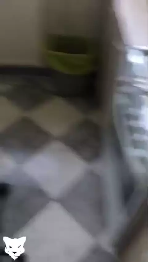 Amatör Türk İfşa: En Çok İzlenen Videolar