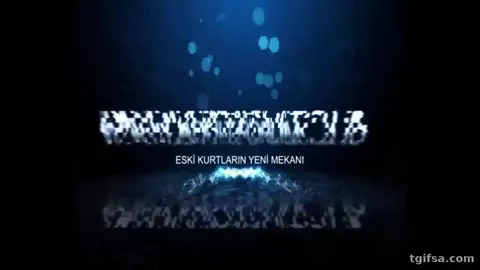 Türk Amatör İfşa Videoları: Özel Seçki