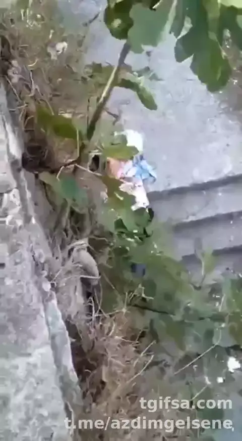 Amatör Türk İfşa Videosu: Gizli Kamera